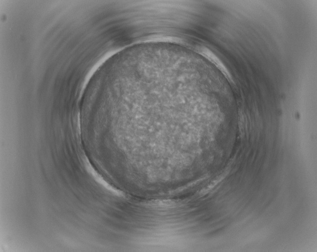 X0000071331092200607212001