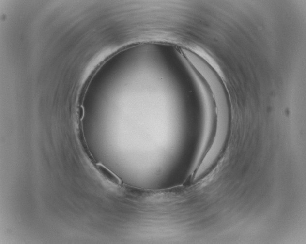 X0000071331093200607212001