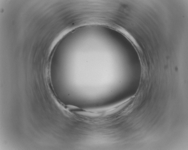 X0000071331101200607212001