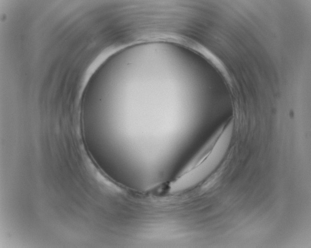 X0000071331102200607212001