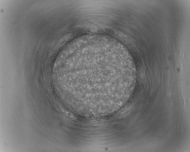 X0000071331105200607212000