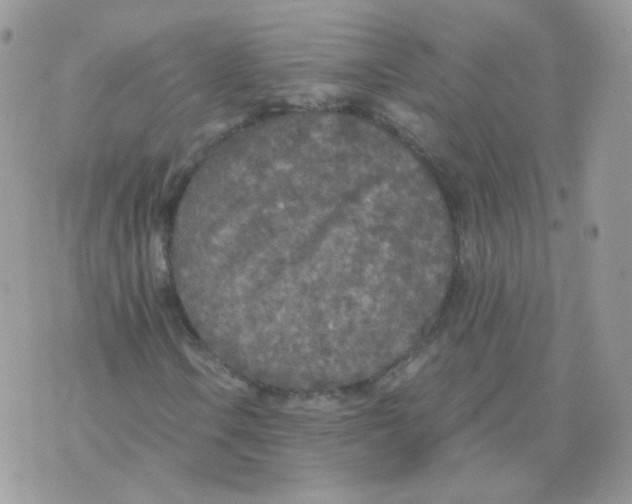 X0000071331106200607212000