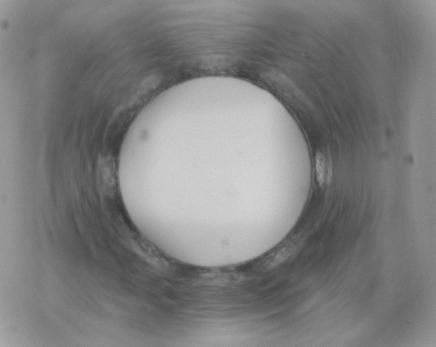 X0000071331107200607212000