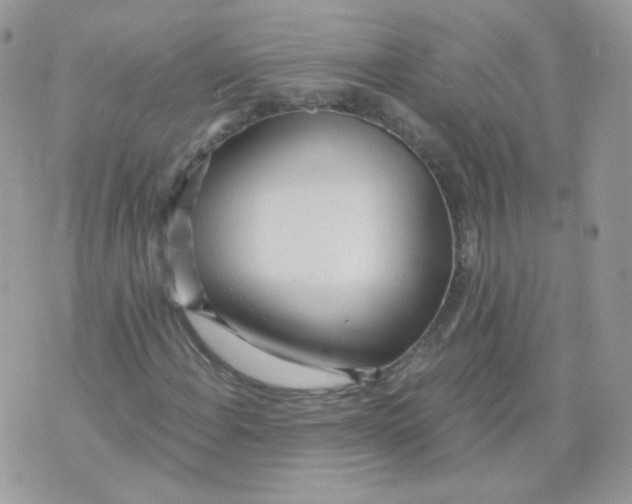 X0000071331108200607212000