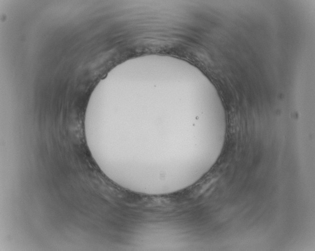 X0000071331109200607212000