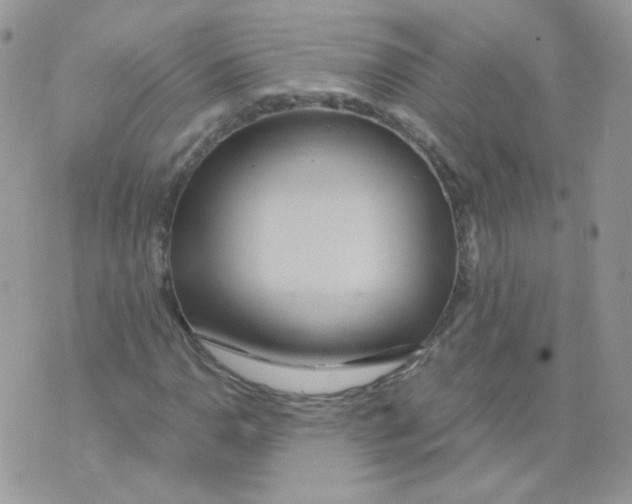 X0000071331110200607212000