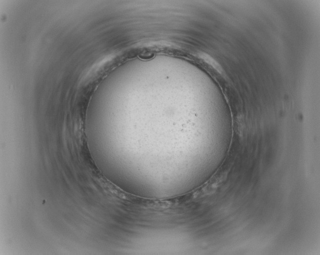 X0000071331111200607212000