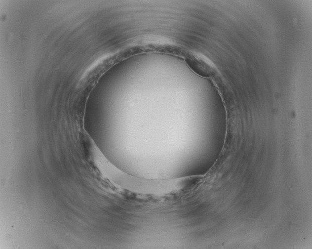 X0000071331112200607212000