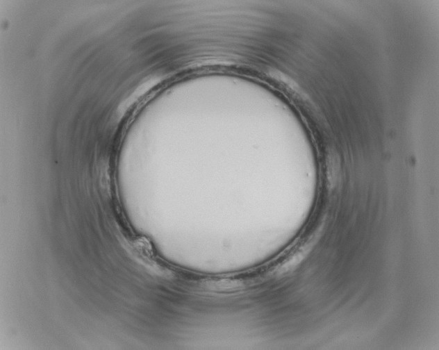 X0000071331113200607212000