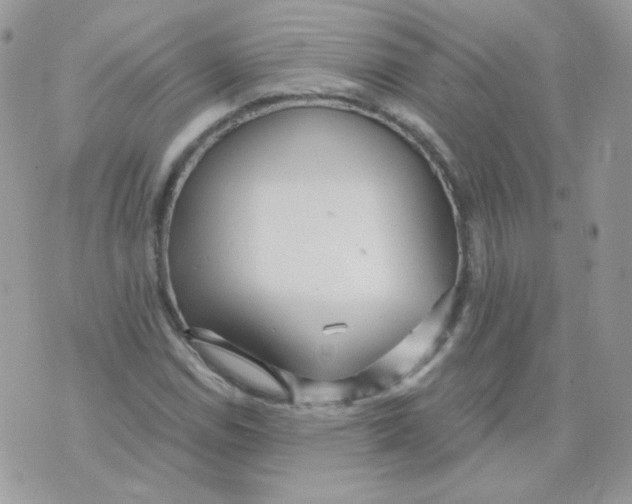 X0000071331114200607212000