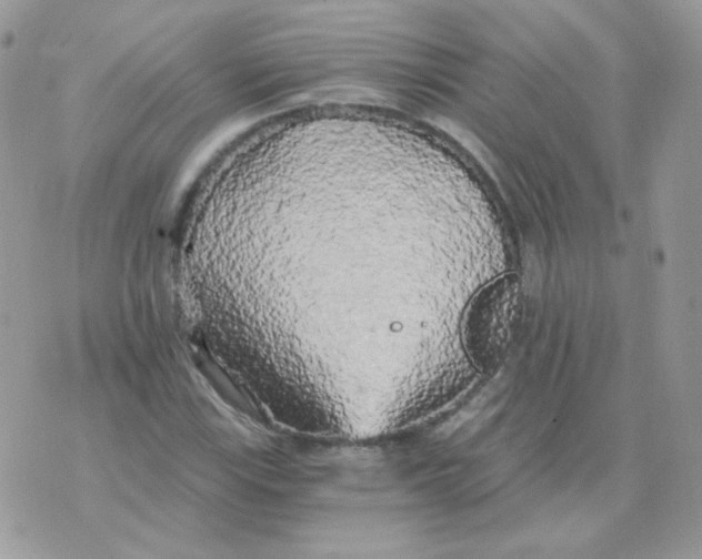 X0000071331115200607212000