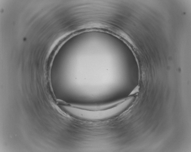 X0000071331116200607212000