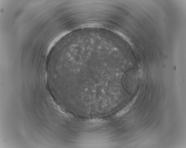 X0000071331117200607212000