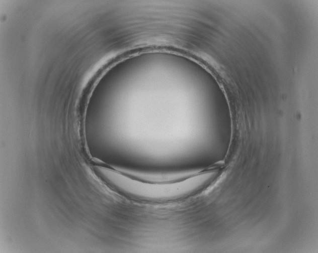 X0000071331118200607212000