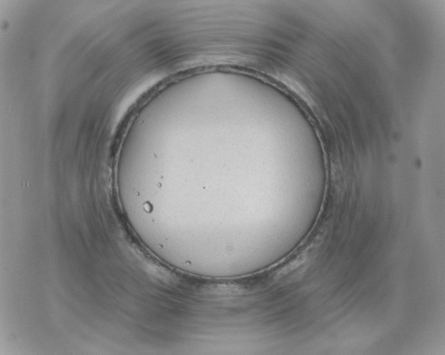 X0000071331119200607212000