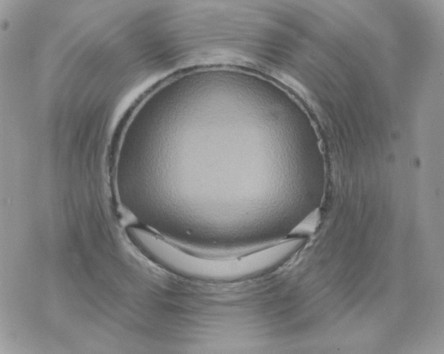 X0000071331120200607212000