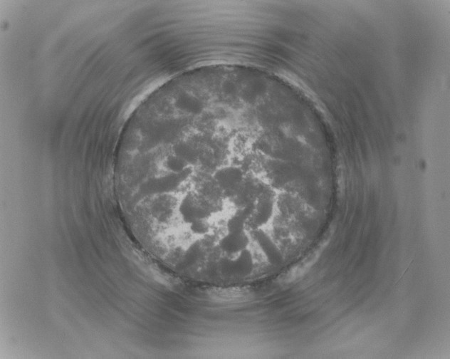 X0000071331121200607212000