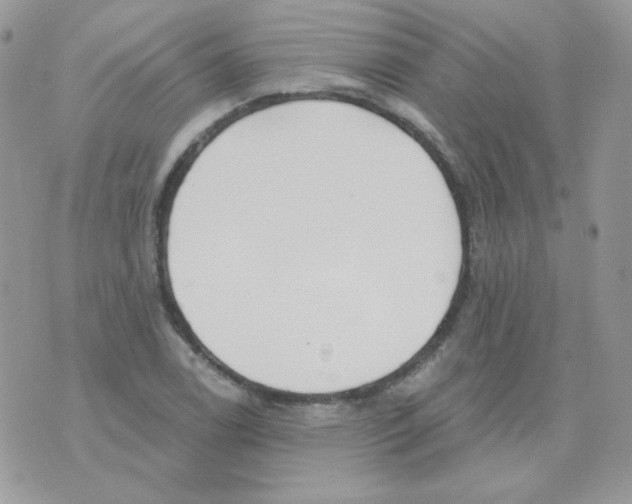 X0000071331122200607212000