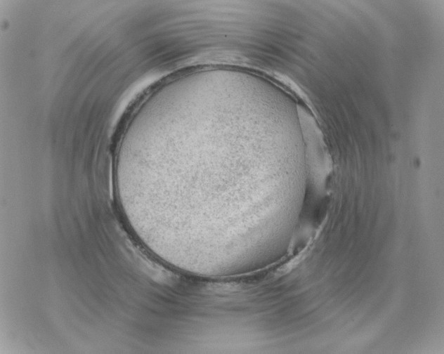 X0000071331123200607212000