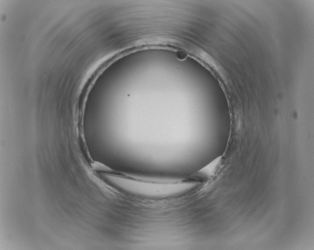 X0000071331124200607212000