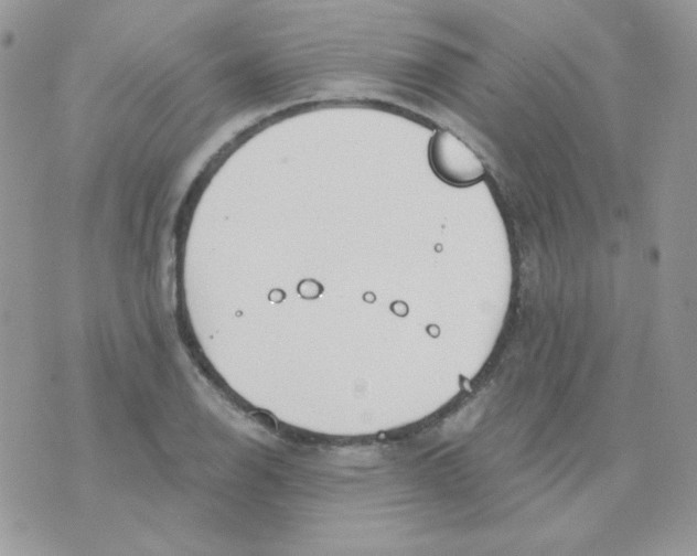 X0000071331126200607212000