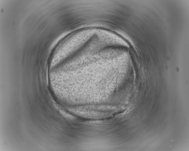 X0000071331127200607212000