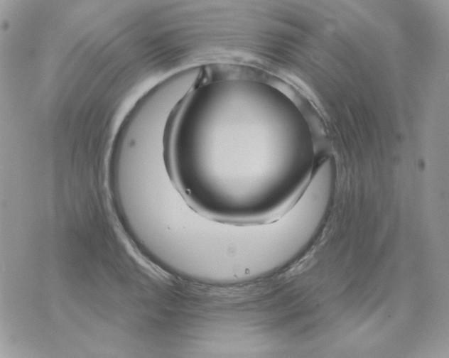 X0000071331128200607212000