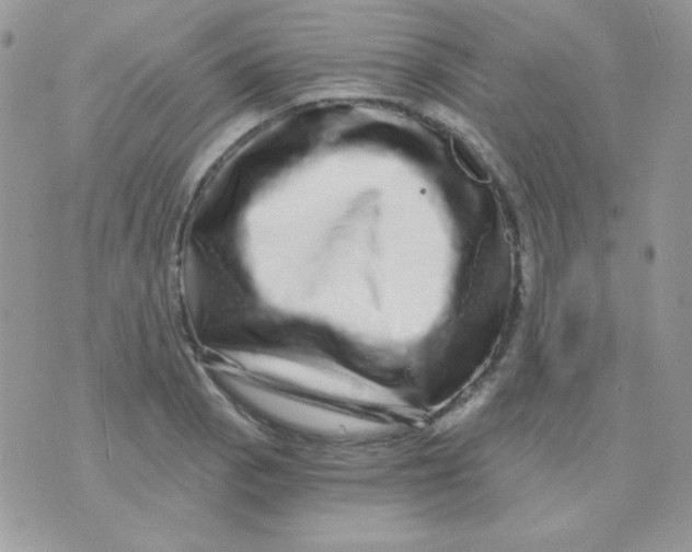 X0000071331129200607212000