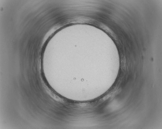 X0000071331130200607212000