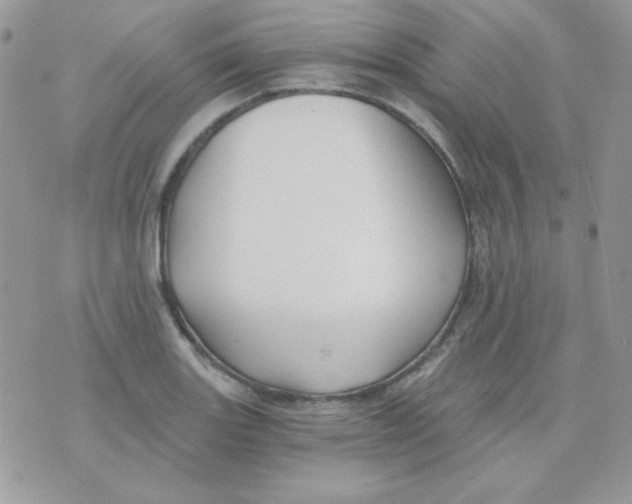 X0000071331131200607212000