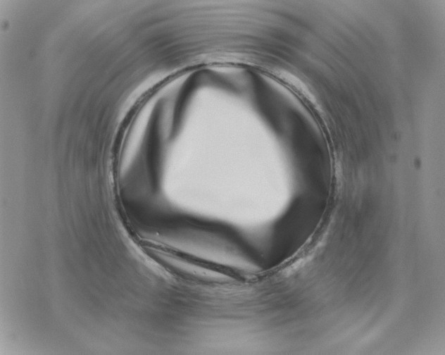 X0000071331133200607212000