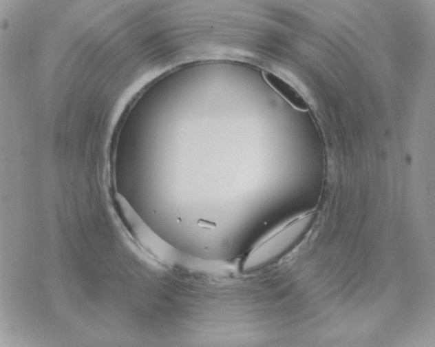 X0000071331136200607212000