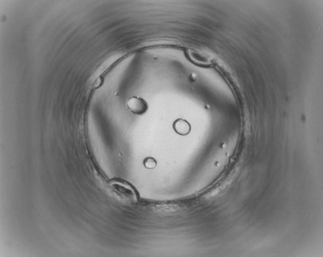 X0000071331137200607212000