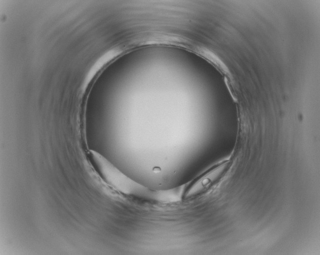 X0000071331138200607212000