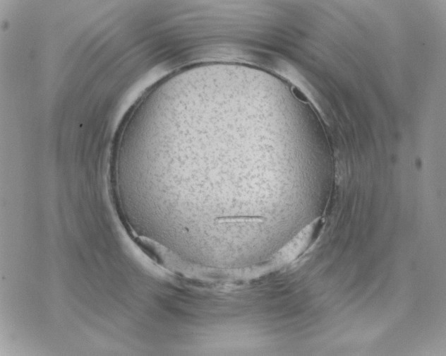 X0000071331139200607212000