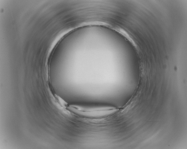 X0000071331140200607212000