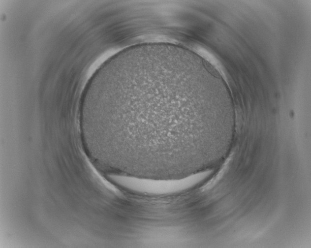 X0000071331141200607212000