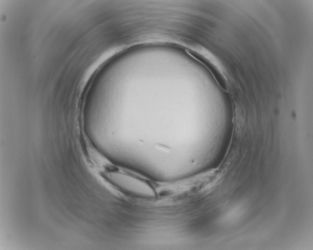 X0000071331142200607212000