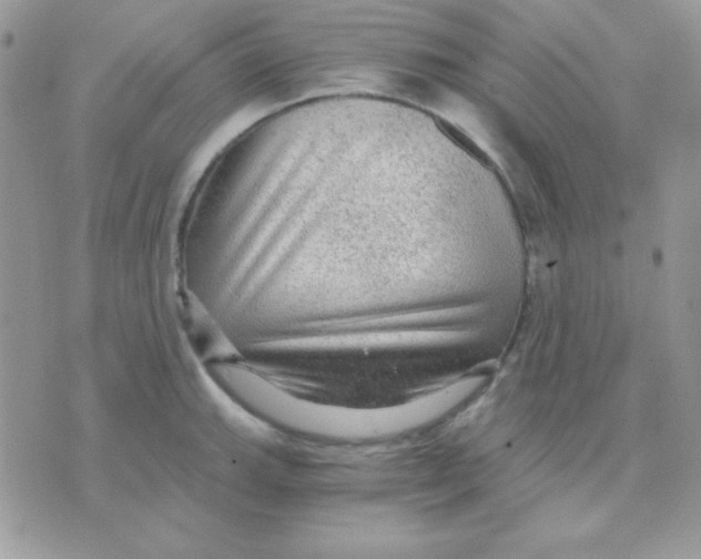 X0000071331143200607212001