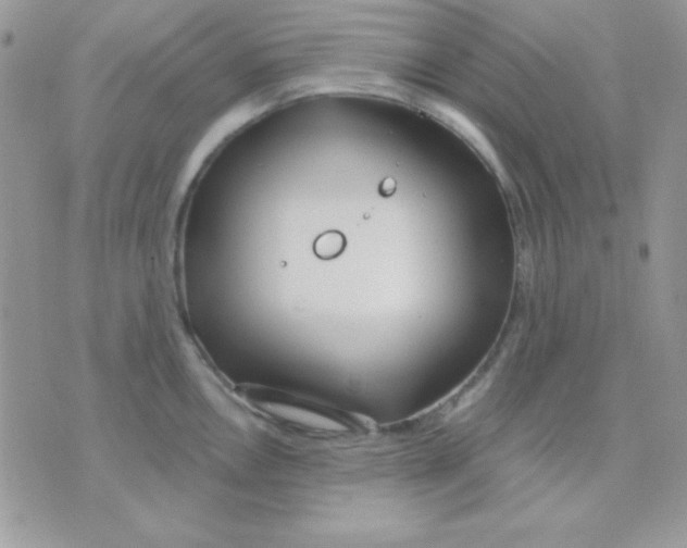 X0000071331146200607212001