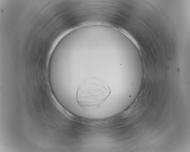 X0000071331148200607212001