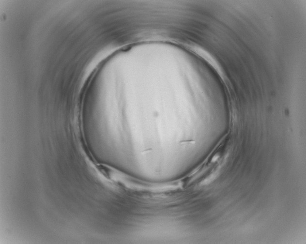 X0000071331149200607212001