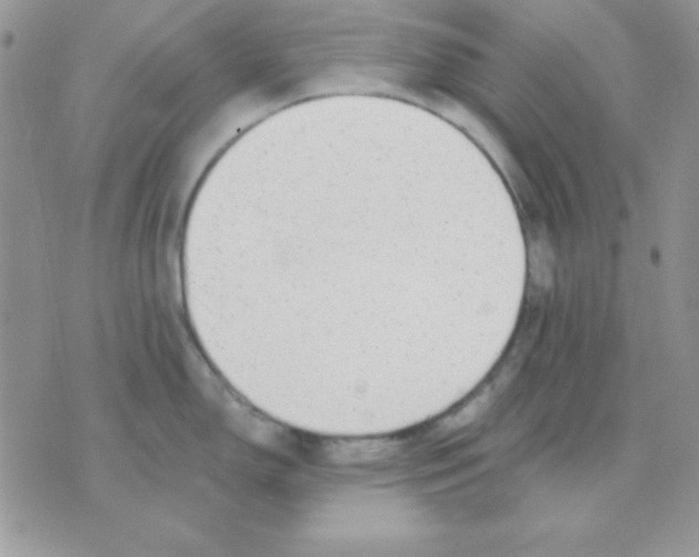 X0000071331150200607212001