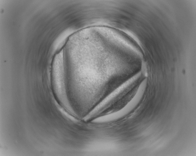 X0000071331151200607212001