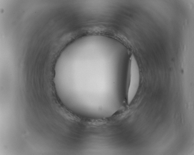 X0000071331153200607212000