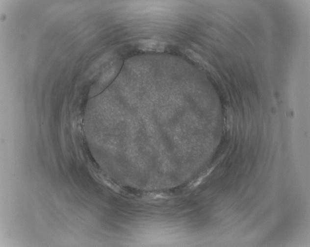 X0000071331154200607212000