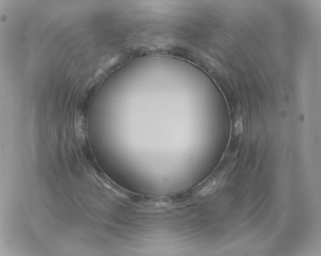 X0000071331156200607212000