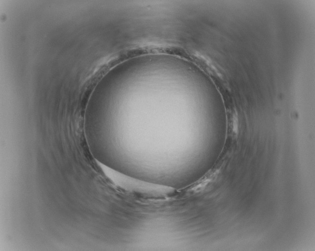 X0000071331157200607212000