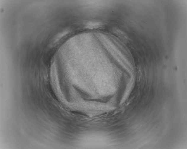 X0000071331158200607212000