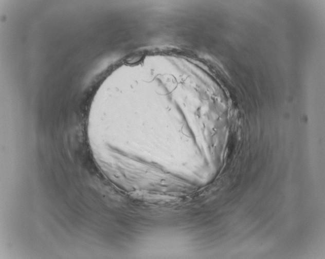 X0000071331159200607212000